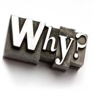 illustration of the word "Why?"