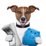 humorous illustration of dog holding money and a piggy bank.
