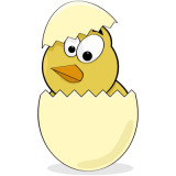 Chick emerging from egg shell - cartoon