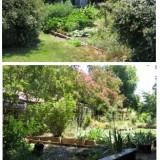 photos from Village Homes in Davis, California