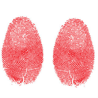 two fingerprints