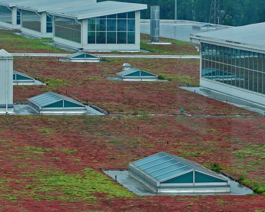 Green roof of Ford River Rouge Assembly building
