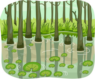 illustration of swamp and trees