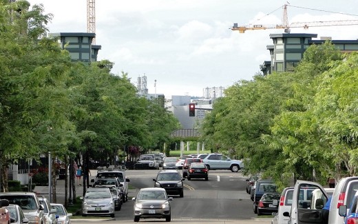 Intel's huge Ronler Acres facility looms in the background; photo taken a block from light rail station, looking through center of the Orenco development towards Intel.