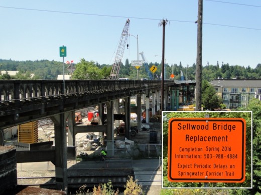 Elaine Cogan helped moderate meetings of the Sellwood Bridge project's Community Task Force, which met 23 times throughout the course of the planning effort related to reconstruction of this major Willamette River crossing linking in Portland.