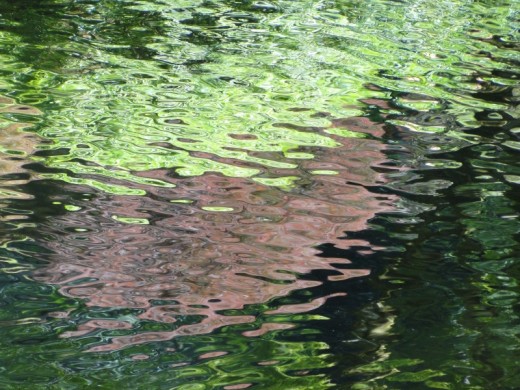 Reflections from Portland’s Japanese Garden. Photo by Wayne Senville.
