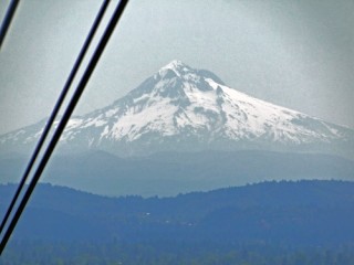 View of Mt. Hood from the tram.