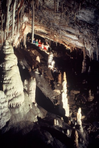 Glenwood Caverns Adventure Park