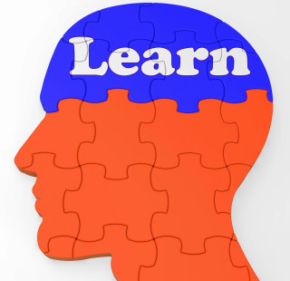 illustration of a head with the word learn spelled out