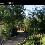 How permaculture can shape the built environment. Photos are from Tucson, Arizona, above 1994; below right -- 2006.